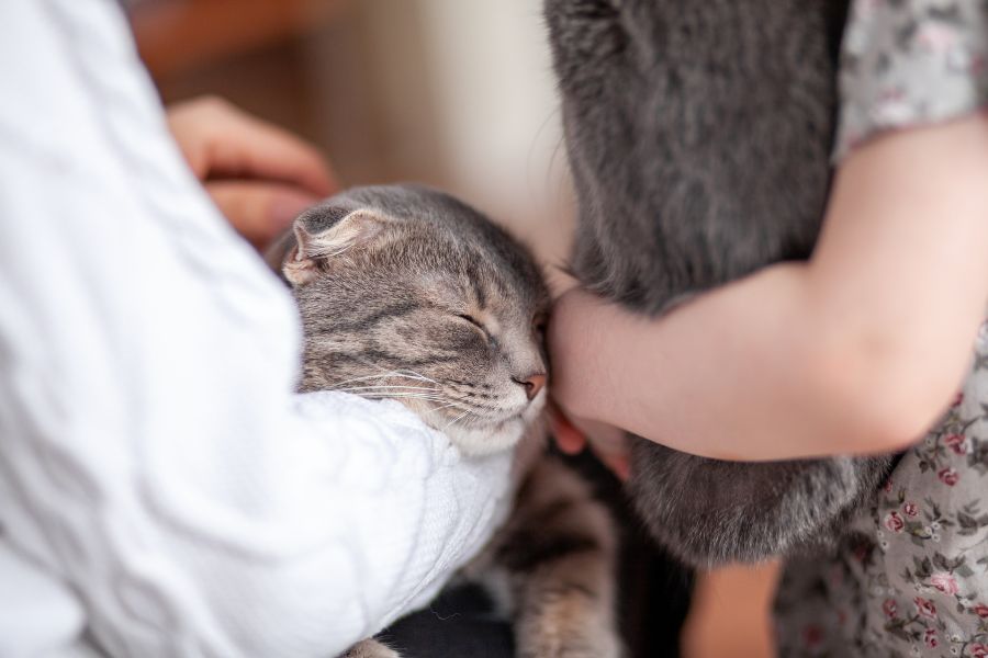 Warning Signs Your Pet Needs a Vet Visit Immediately