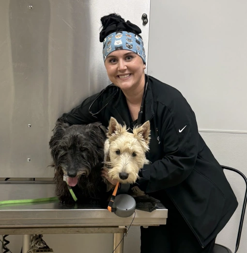 Veterinary staff member in scrubs smiling with two small terrier dogs on an exam table at an urgent pet care clinic