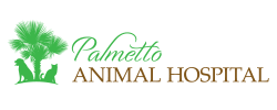 Palmetto Animal Hospital